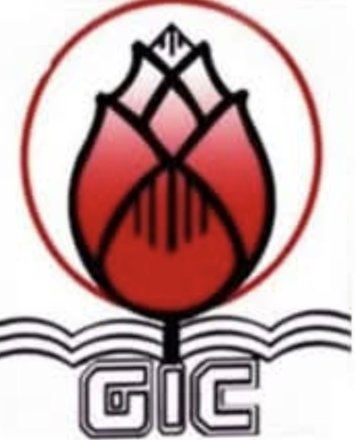 cropped 11.jpg